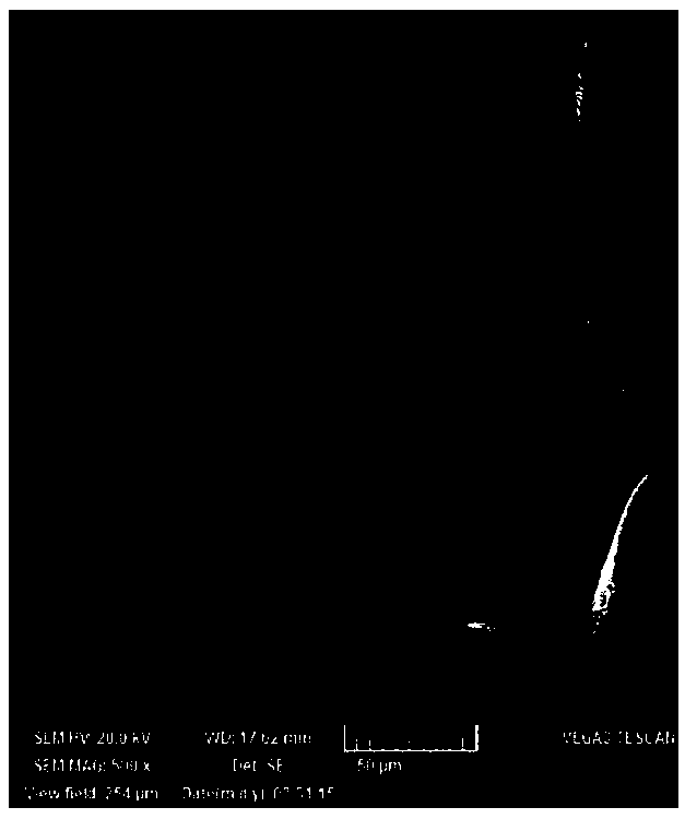 Mesenchymal stem cell substitute product containing degradable biomedical sustained-release material and application thereof