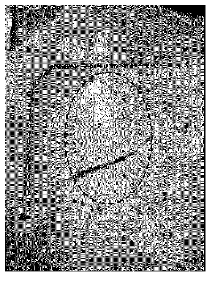 Steel material for thermal cutting using oxygen