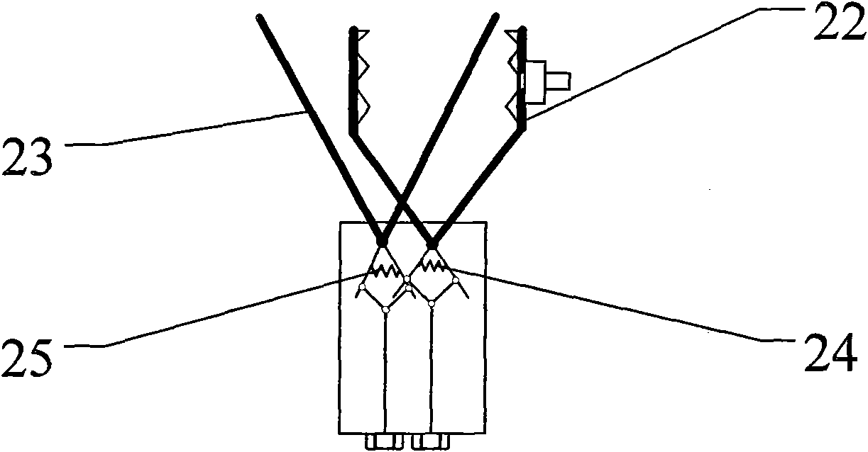 Portable fruit picking machine capable of automatic gripping and cutting