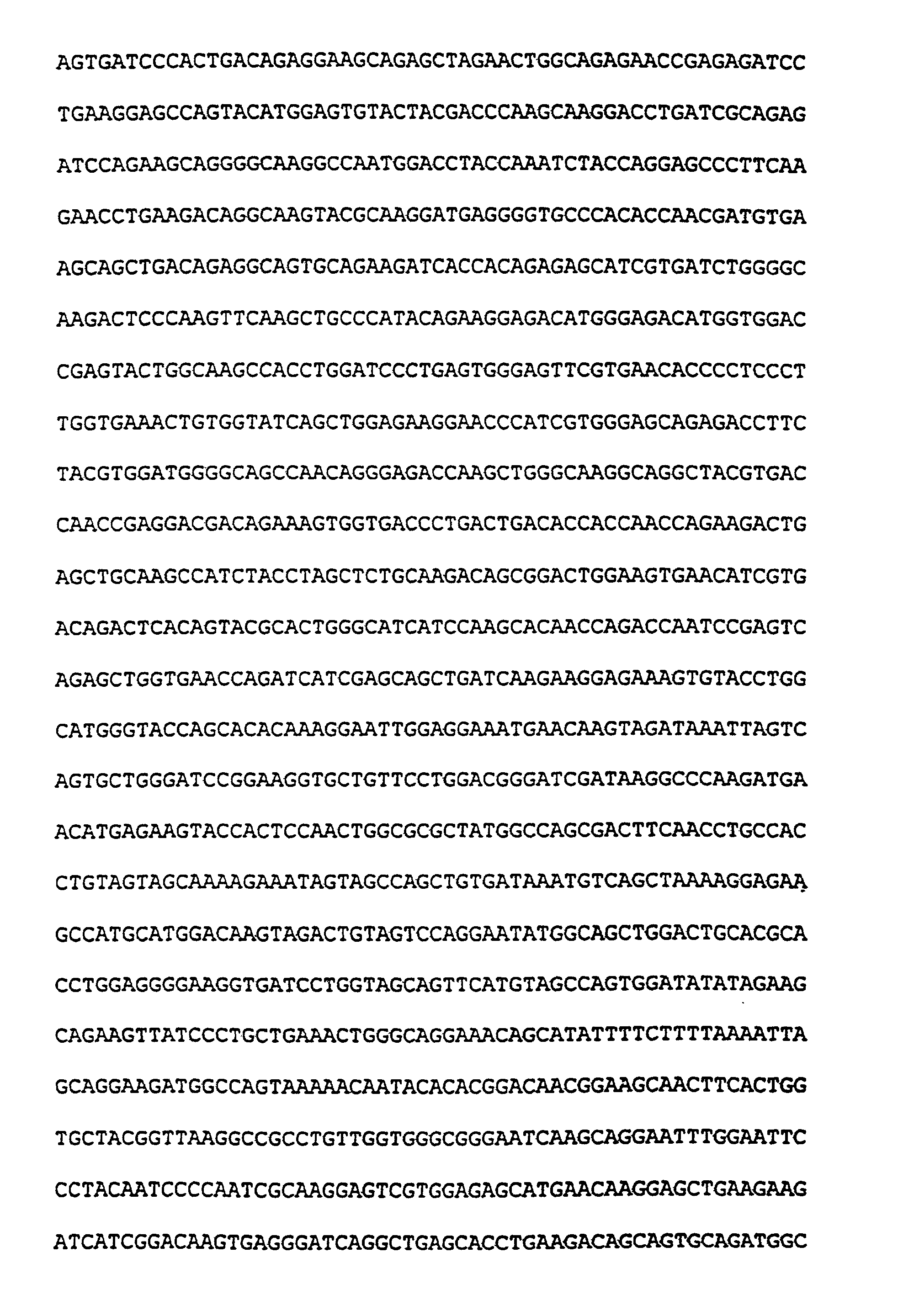 Molecular clones with mutated HIV gag/pol, SIV gag and SIV env genes