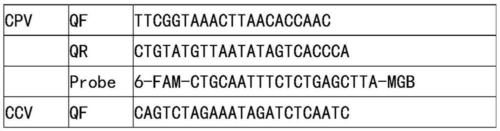 Primer pair for detecting canine diarrhea viruses through one-step method, TaqMan probe, method and application