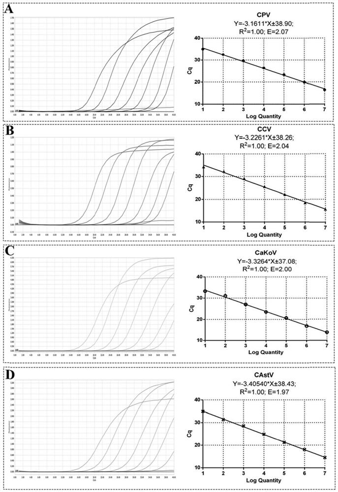 Primer pair for detecting canine diarrhea viruses through one-step method, TaqMan probe, method and application