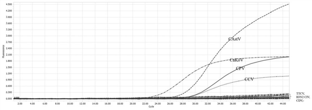 Primer pair for detecting canine diarrhea viruses through one-step method, TaqMan probe, method and application