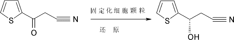 Method for preparing (S)-3-hydroxyl-3-(2-thienyl)-propionitrile by microbial transformation