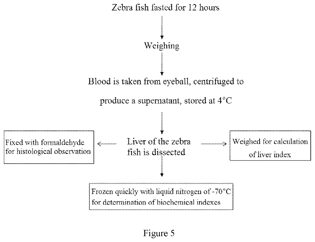 Total Flavonoid Extract From Gynura Formosana Kitam., Preparation Method Thereof, And Use Of Same In Preparing Drug Or Health Product Related To Alcoholic Fatty Liver Disease