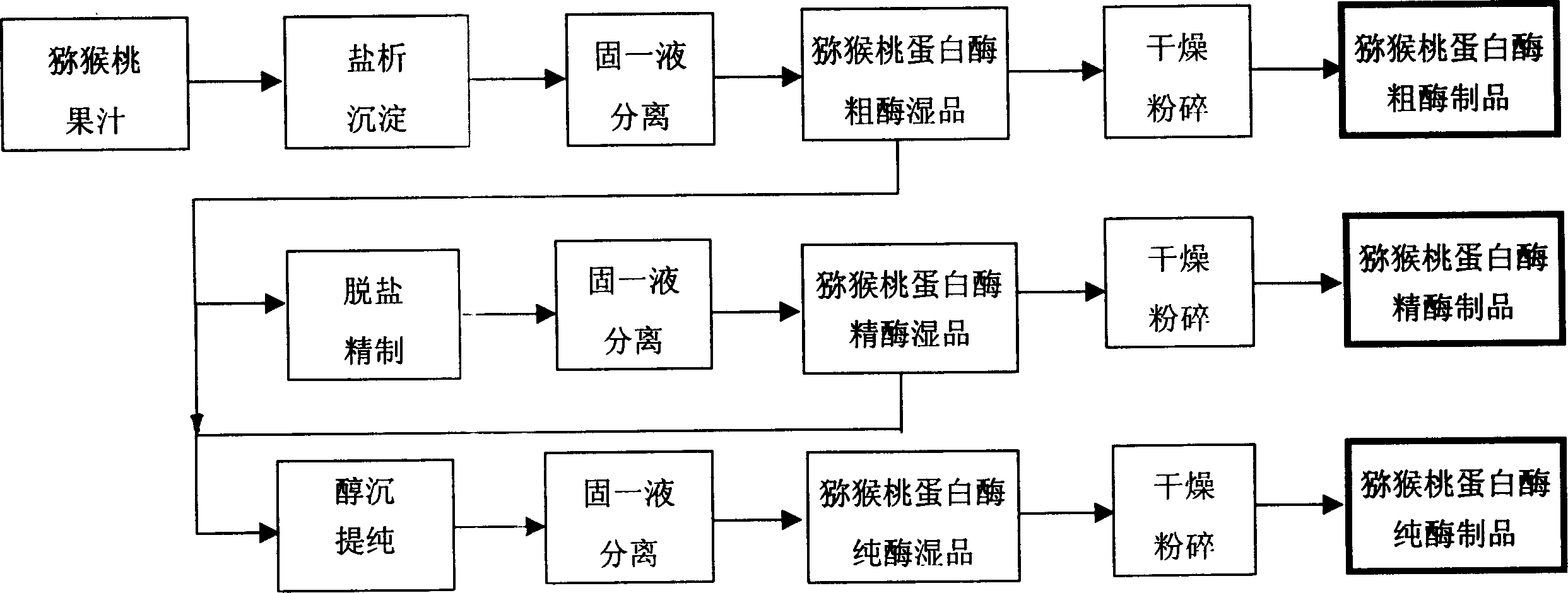 Extracting process of actinidia proteinase