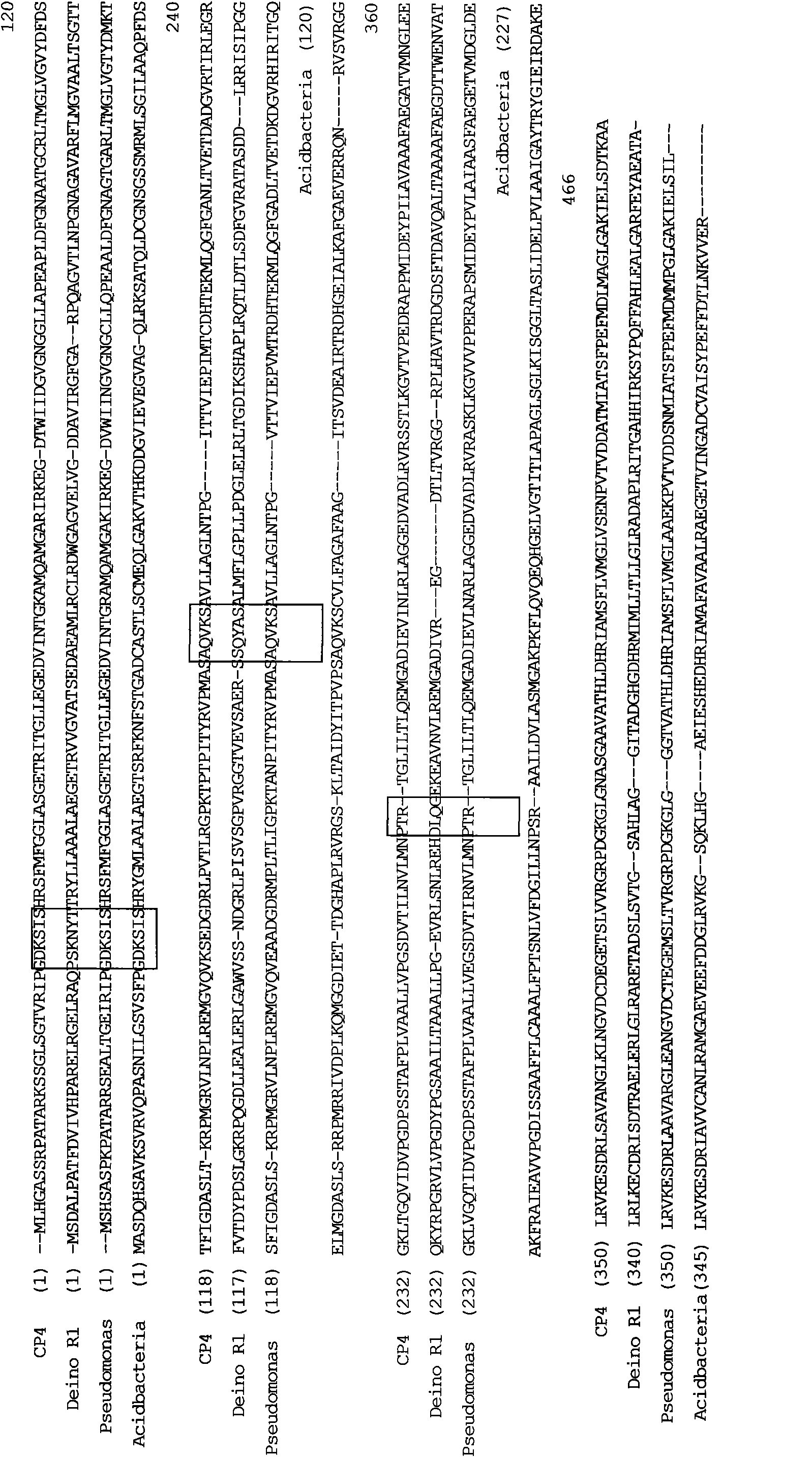 Glyphosate-resistant gene and application thereof