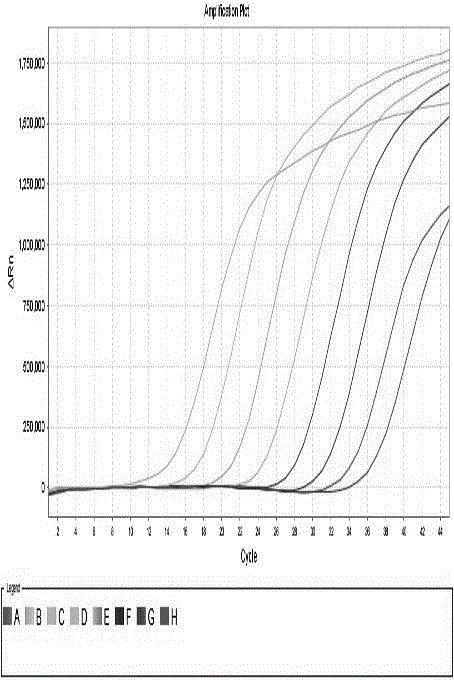 Kit for extracting DNA/RNA of virus through magnetic bead method and using method