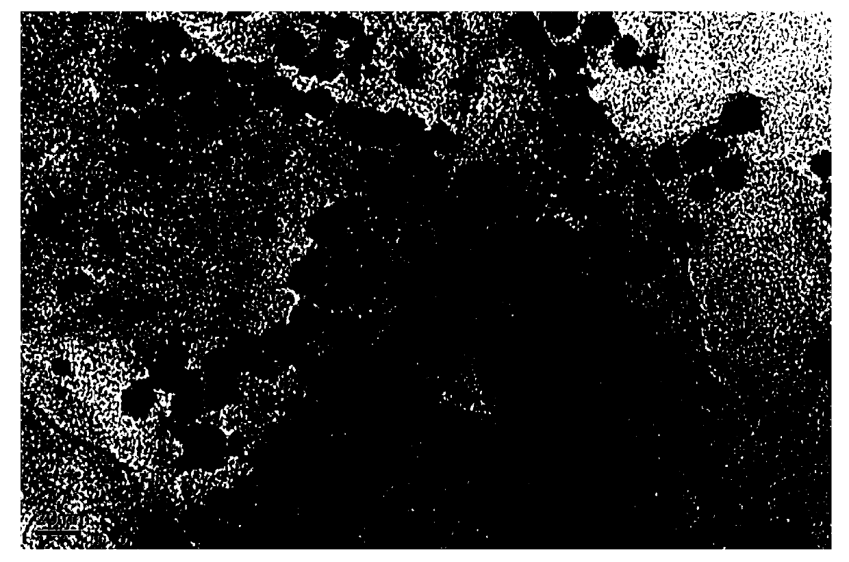 Method for preparing reduced oxidized graphite/nano nickel composite wave-absorbing material by using gamma ray