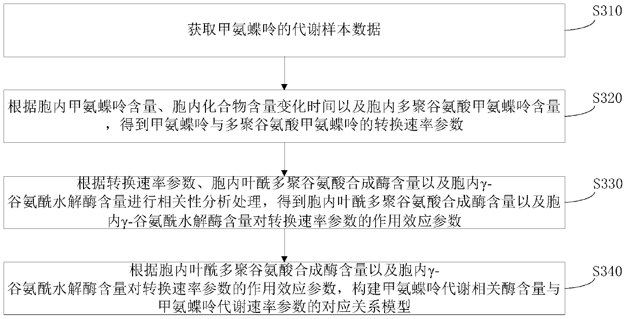 Methotrexate dosage regimen determining method, device, storage medium and equipment