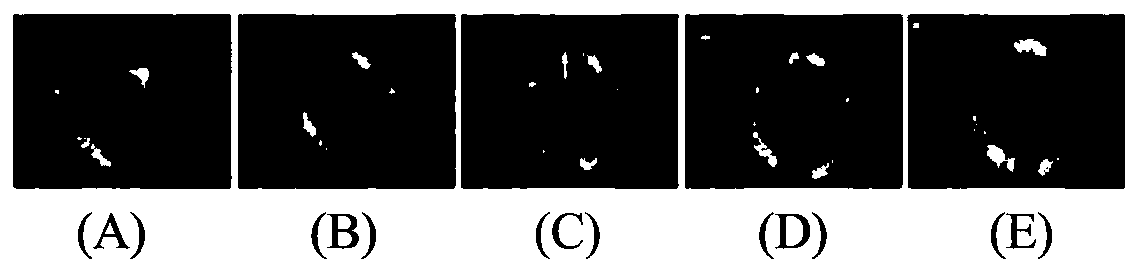 Image feature fusion method and device, and medium