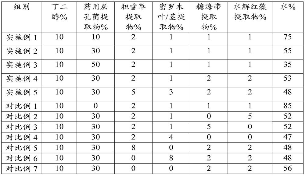 Skin care product matrix, skin care product and preparation method and application of skin care product