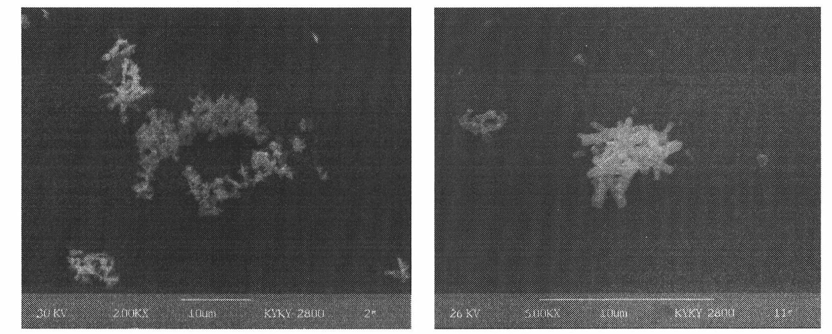 Method for preparing ultrafine silver tungstate antibacterial powder by ultrasonic-homogeneous precipitation