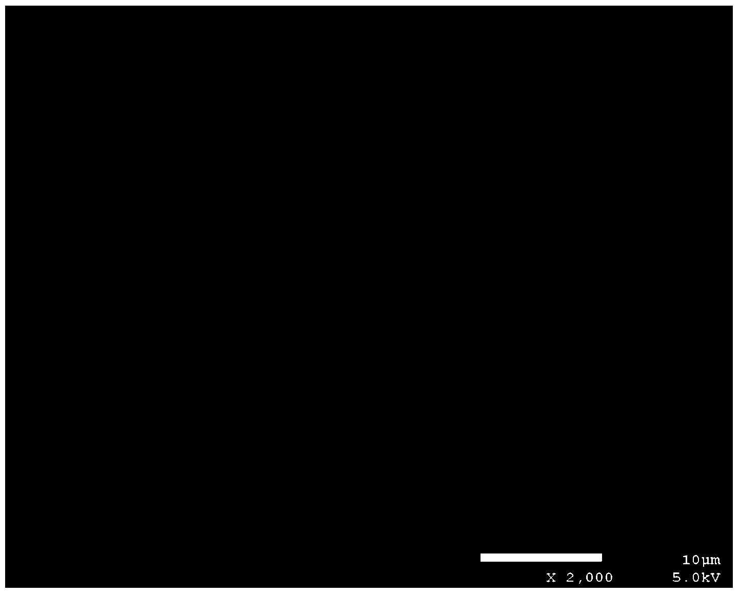 Process for preparing xiaojin pill