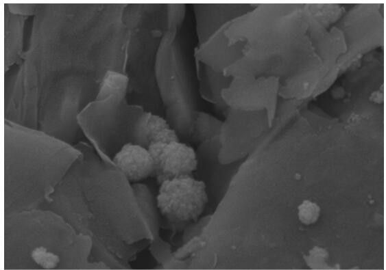 A preparation method based on rectorite-loaded spherical nano-calcium salt oxidant