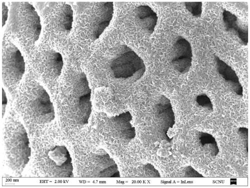 Manufacturing methodof rhenium disulfide supercapacitor based on biological template method growth