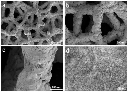 Bone trabecula porous tantalum dental implant and preparation method thereof