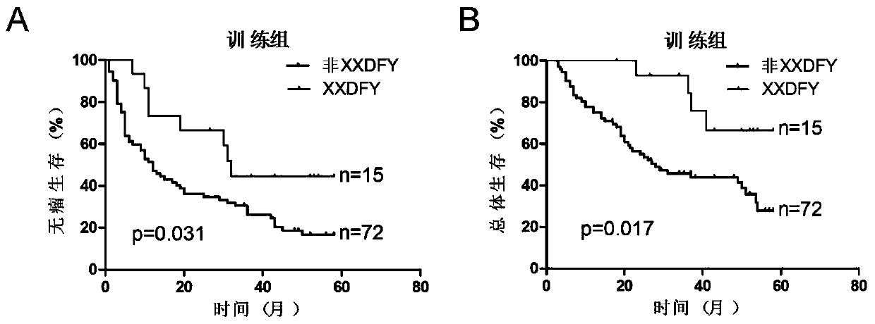 Hepatitis B virus X gene and application thereof