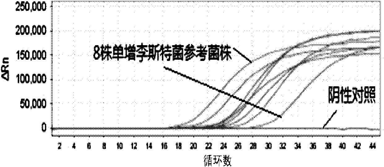 Listeria monocytogenes fluorescence quantitative PCR (Polymerase Chain Reaction) test kit and test method