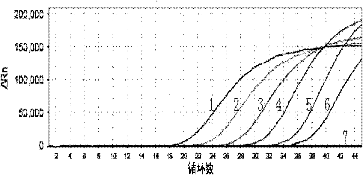 Listeria monocytogenes fluorescence quantitative PCR (Polymerase Chain Reaction) test kit and test method