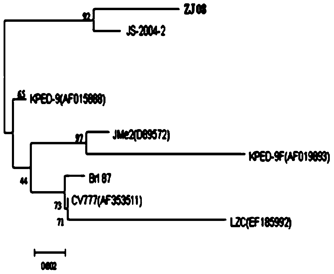 Porcine epidemic diarrhea virus stain and application thereof