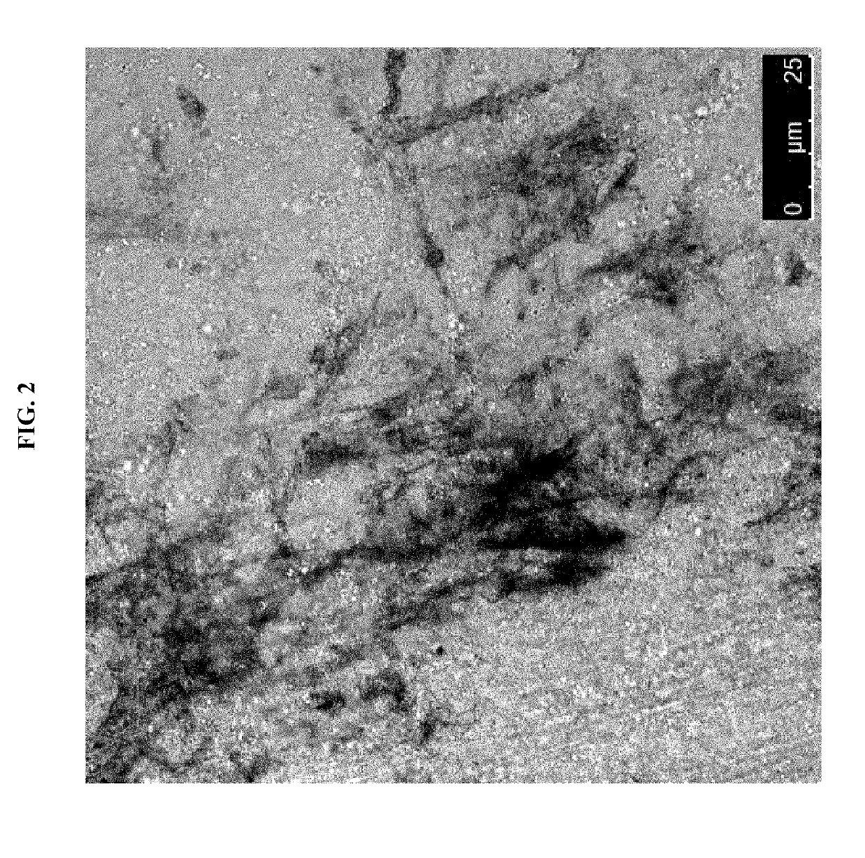 Cardiac fibroblast-derived extracellular matrix and injectable formulations thereof for treatment of ischemic disease or injury