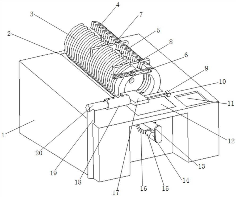 tail vein catheterization system