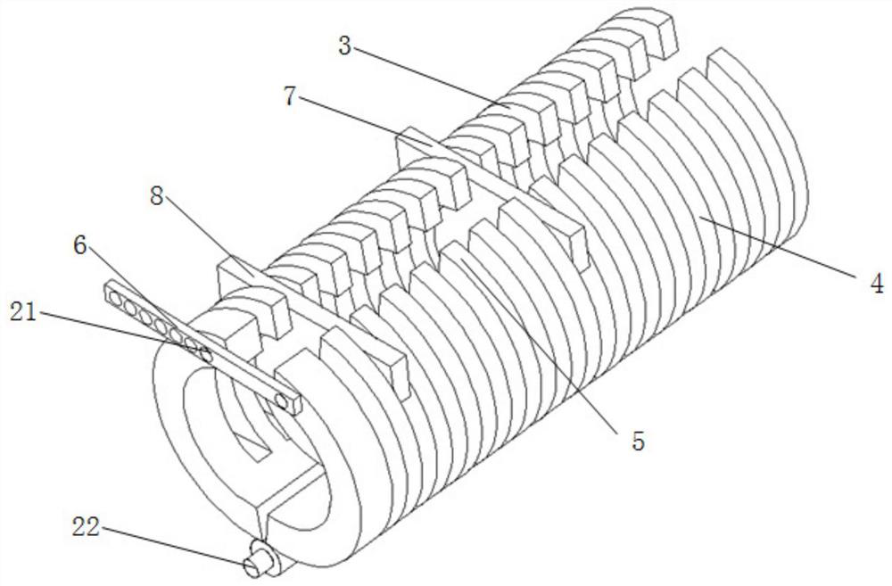 tail vein catheterization system