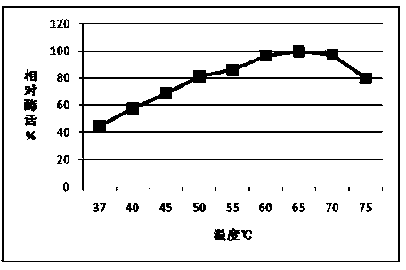 Optimized high-temperature resistant mannanase MAN5gy, and preparation method and application thereof