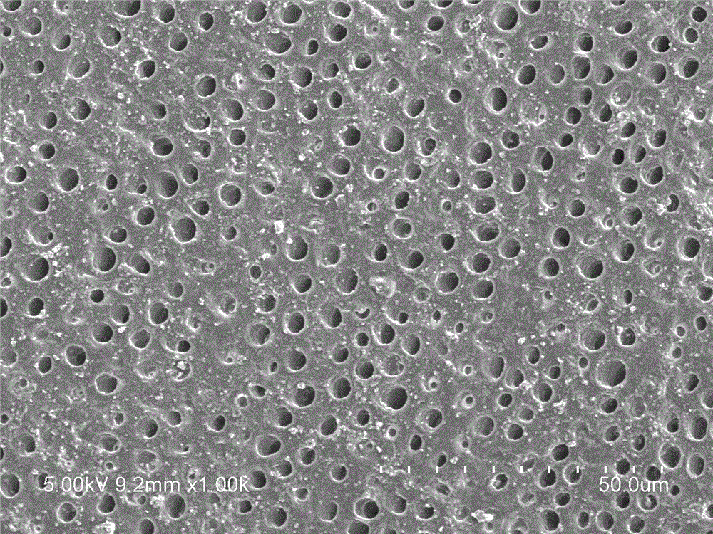 Anhydrous toothpaste repairing demineralized enamel and dentin and preparation method thereof