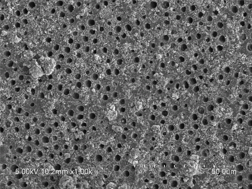 Anhydrous toothpaste repairing demineralized enamel and dentin and preparation method thereof