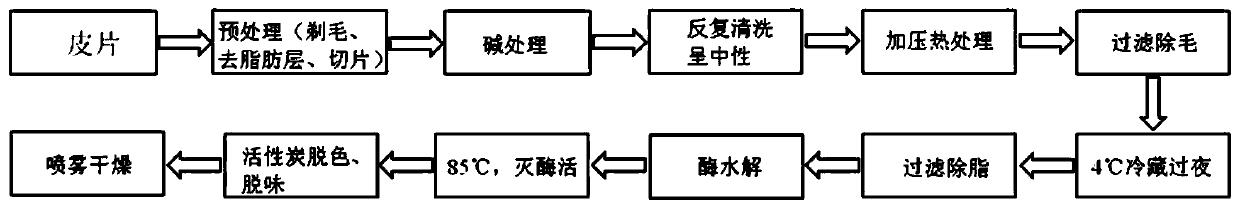 Collagen peptide for controlling osteoarthritis of old people and preparation method of collagen peptide for controlling osteoarthritis of old people