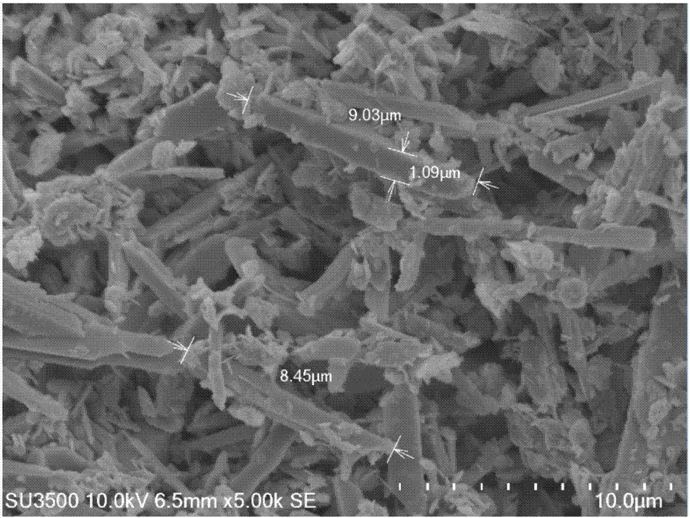 Deep cycle battery lead paste preparation method with characteristic of easy 4BS generation