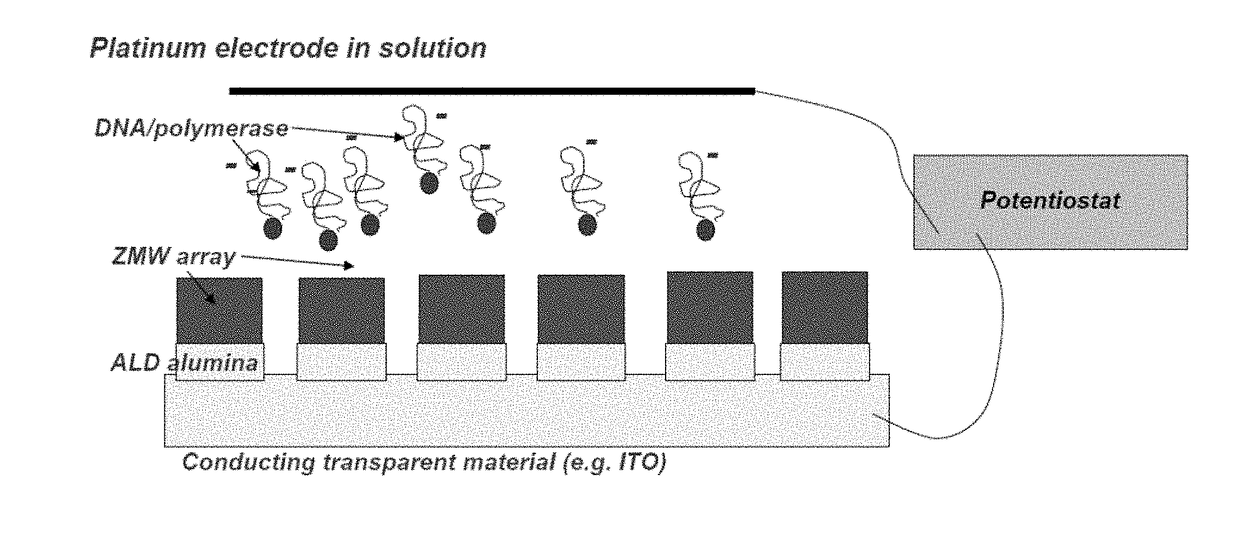 Methods and Compositions for Delivery of Molecules and Complexes to Reaction Sites