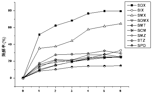 Vibrio alginolyticus capable of degrading various sulfanilamide antibiotics and application of vibrio alginolyticus