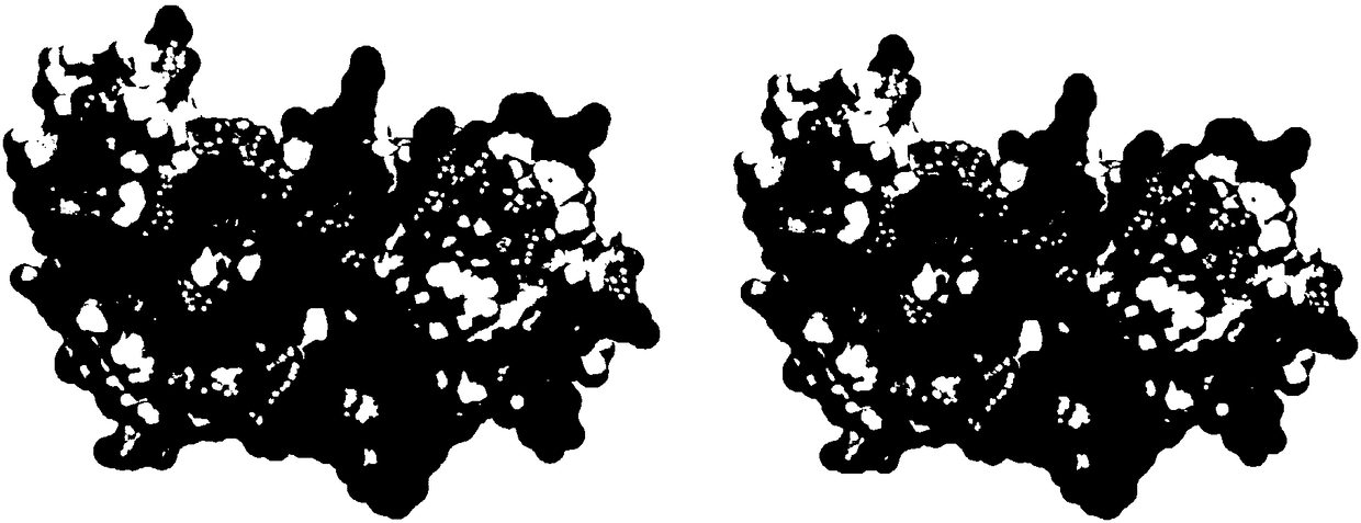 Distal arthrogryposis disease pathogenic gene and use thereof