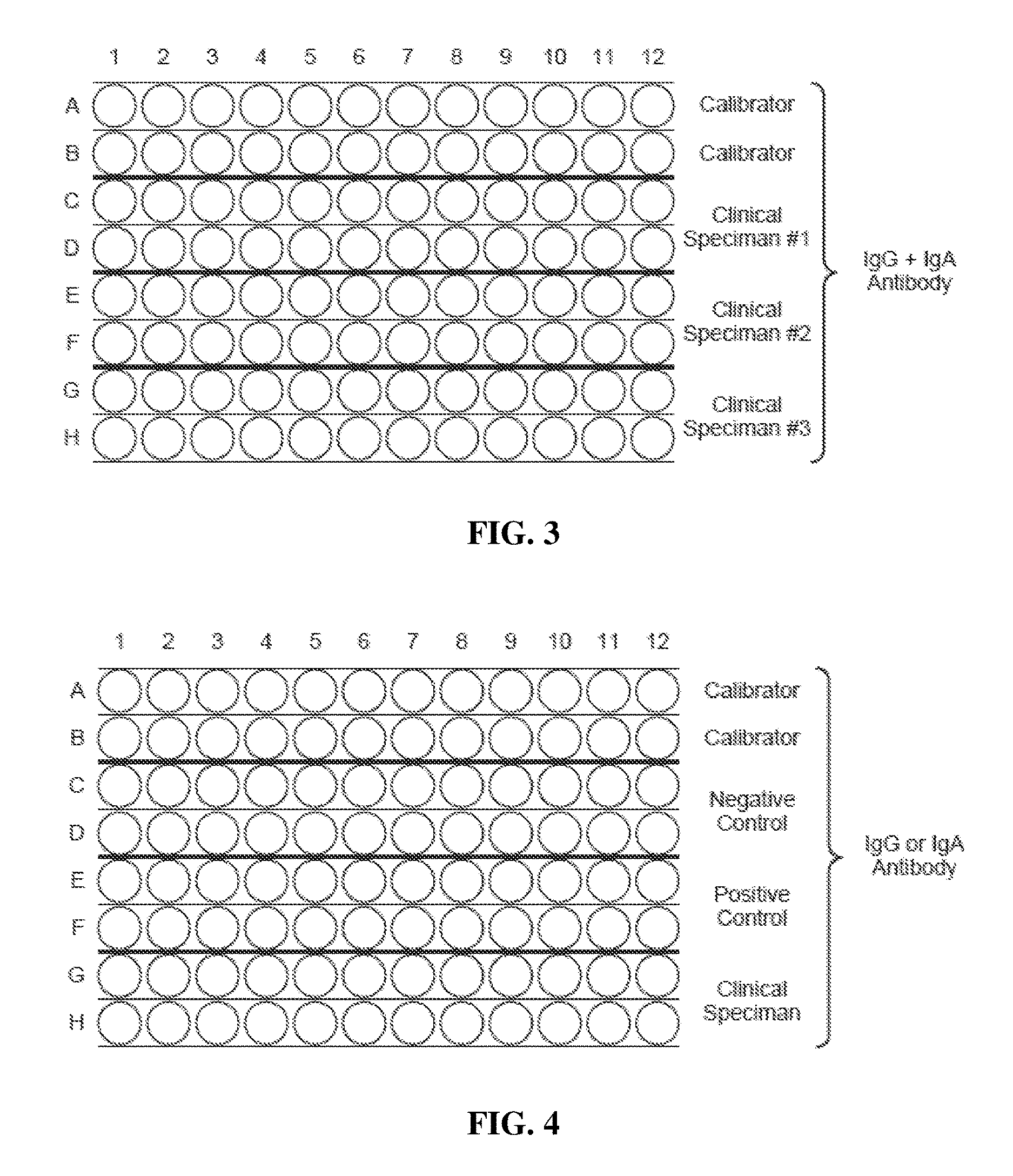 Methods and Apparatus for Detection of Gluten Sensitivity, and its Differentiation from Celiac Disease