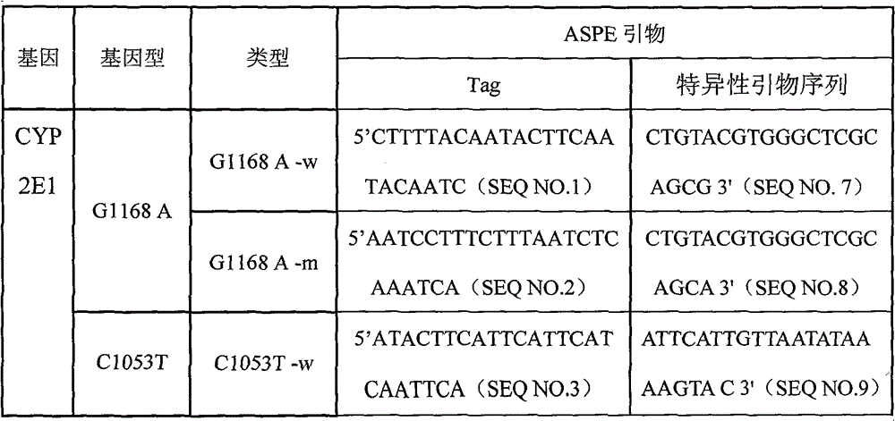 Specific primmer, liquid phase chip and detection method for CYP2E1 (Cytochrome P450 2E1) gene SNP (Single Nucleotide Polymorphism) detection