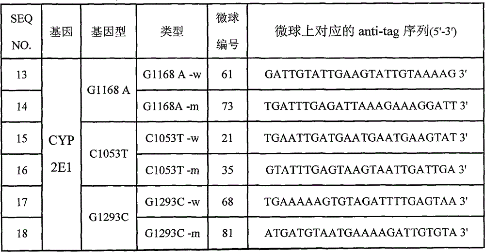 Specific primmer, liquid phase chip and detection method for CYP2E1 (Cytochrome P450 2E1) gene SNP (Single Nucleotide Polymorphism) detection