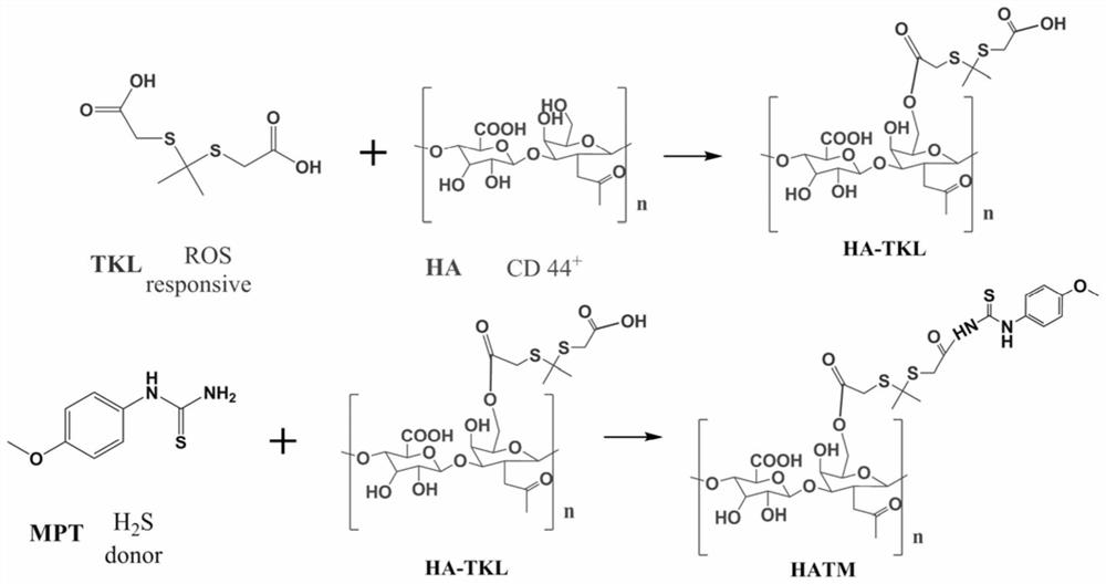 Preparation method and application of ROS-sensitive and H2S donor-responsive nano-micelle