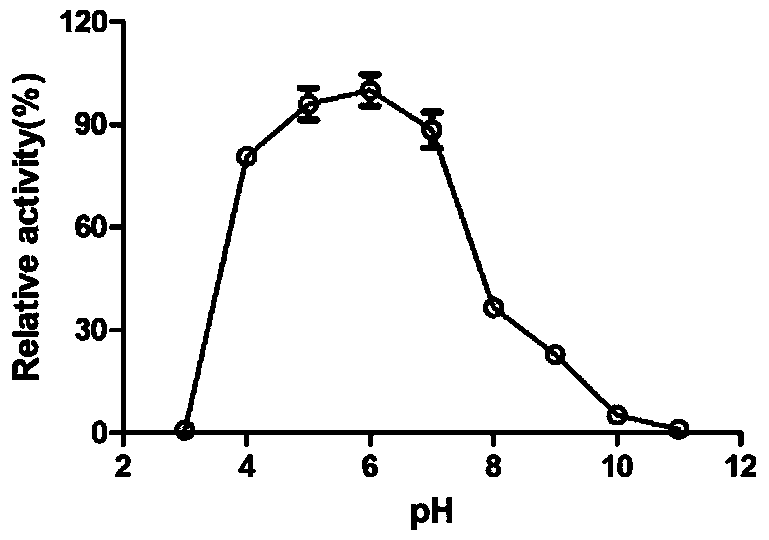 Fucosidase and application of fucosidase to preparation of Bombay phenotype red blood cells