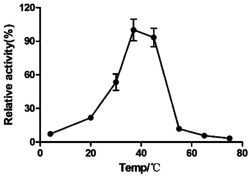 Fucosidase and application of fucosidase to preparation of Bombay phenotype red blood cells