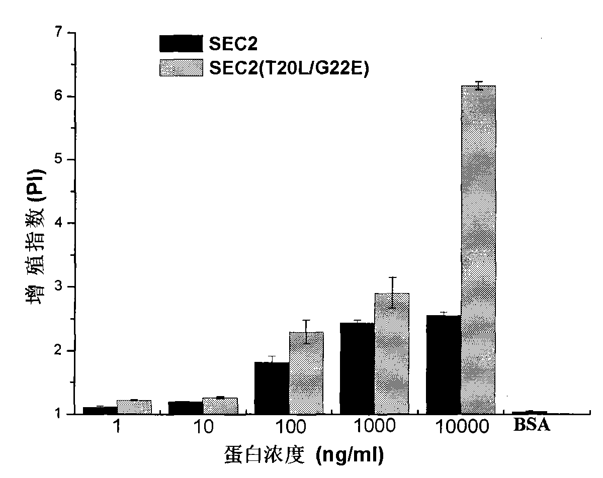 SEC2 mutant gene with increased activity of super-antigen and preparation method thereof