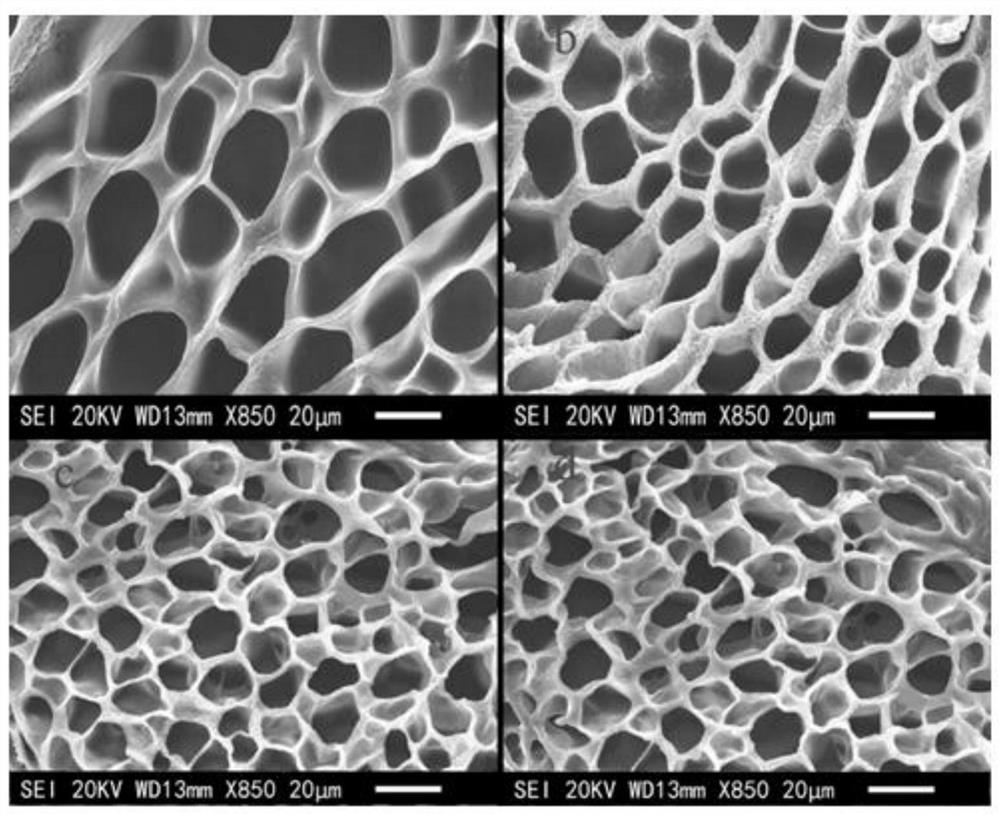 Hydrolytically degradable poss-peg hybrid hydrogel and its preparation method and use