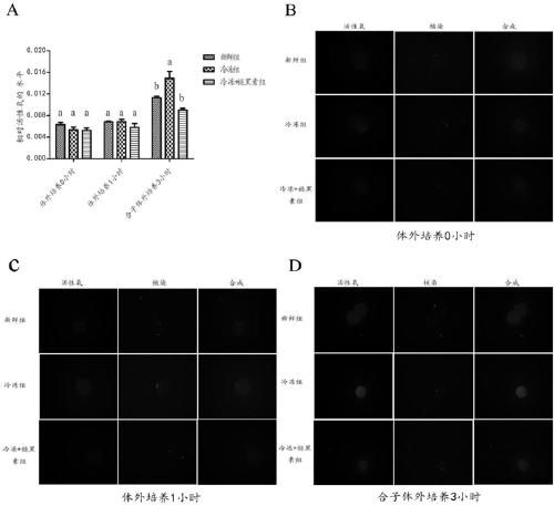 Method for improving parthenogenetic development potential of vitrified mature oocytes