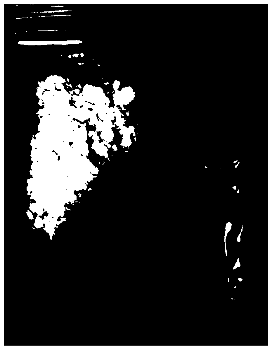 Method of leaching renovating cadmium polluted soil