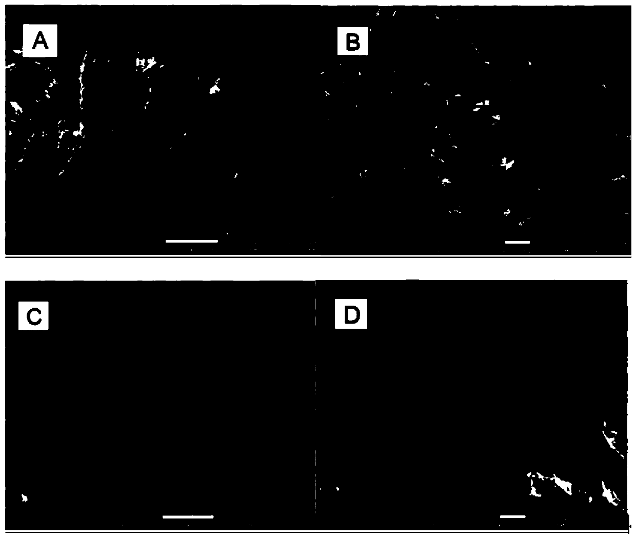 Method of leaching renovating cadmium polluted soil