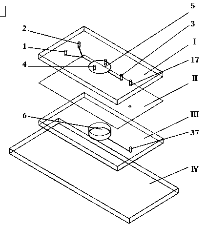 Organ chip and method for evaluating interaction of nanoparticles and pulmonary surfactant layer based on organ chip technology