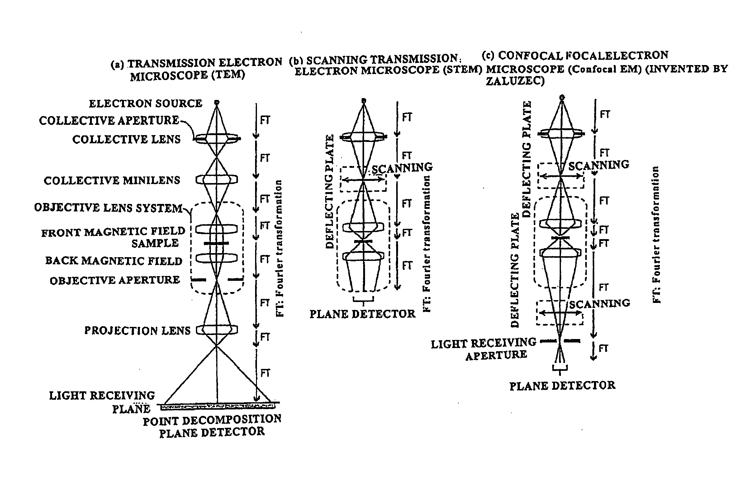 Phase Contrast Electron Microscope Device