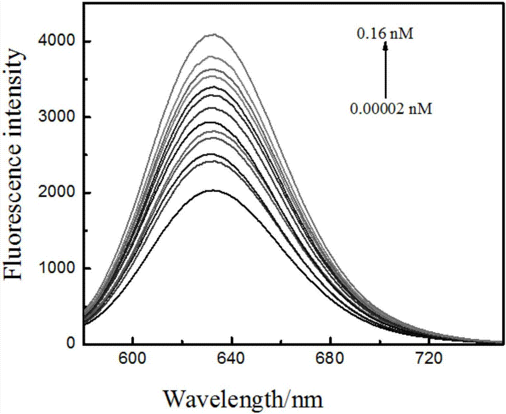 Method for performing supersensitive detection on mercury ions by using T-Hg(II)-T structure-based AgNCs probe